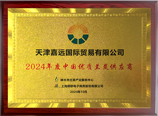 2024年度中国优质兰炭供应商